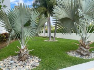 Departamento en venta en edificio premium en Puerto Cancún con áreas verdes