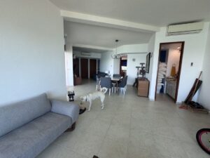 Sala moderna de departamento en Isla Dorada Cancún con ventanales y vista panorámica